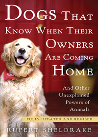 Cover image: Dogs That Know When Their Owners Are Coming Home 9780307885968