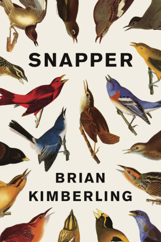 Cover image: Snapper 9780307908056