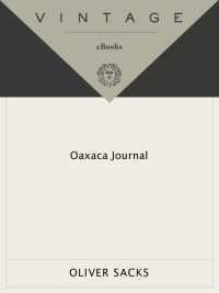 Cover image: Oaxaca Journal 9780307947444
