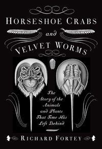 Cover image: Horseshoe Crabs and Velvet Worms 9780307263612