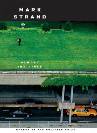 Cover image: Almost Invisible 9780307957313