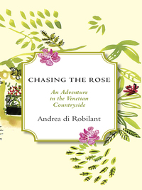 Cover image: Chasing the Rose 9780307962928