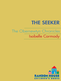 Cover image: The Seeker 1st edition 9780375871139