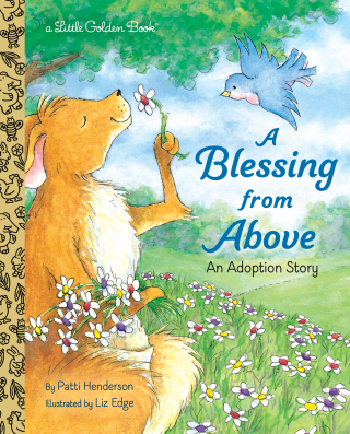 Cover image: A Blessing from Above 9780375828669