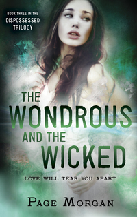 Cover image: The Wondrous and the Wicked 9780385743150