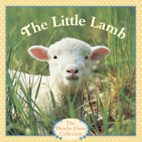 Cover image: The Little Lamb 9780394834559