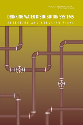 Imagen de portada: Drinking Water Distribution Systems 9780309103060