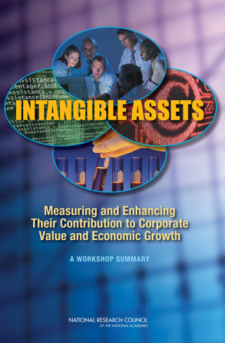 Imagen de portada: Intangible Assets 9780309144148