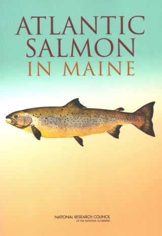 Imagen de portada: Atlantic Salmon in Maine 9780309091350
