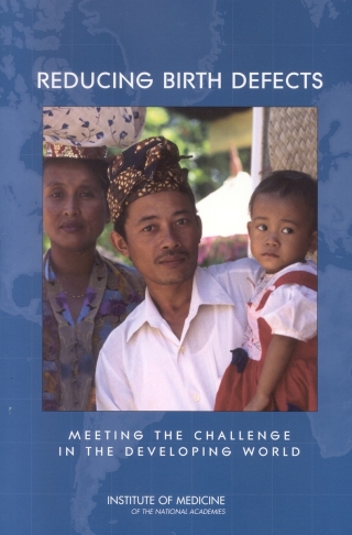 Imagen de portada: Reducing Birth Defects 9780309086080