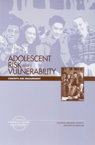 Imagen de portada: Adolescent Risk and Vulnerability 9780309076203