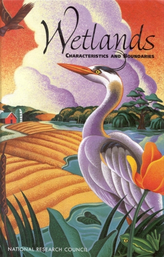 Imagen de portada: Wetlands 9780309103640