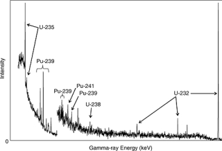 Cover image: Monitoring Nuclear Weapons and Nuclear-Explosive Materials 9780309095976