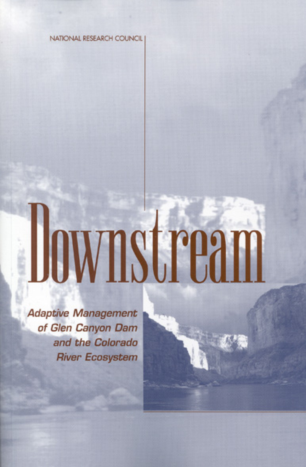 Downstream (eBook)