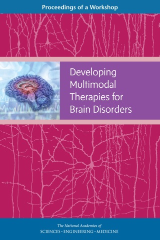 Imagen de portada: Developing Multimodal Therapies for Brain Disorders 9780309450263
