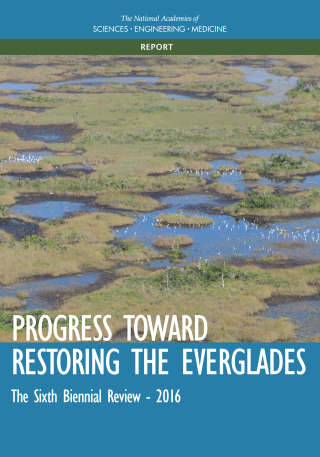 Imagen de portada: Progress Toward Restoring the Everglades 9780309450874