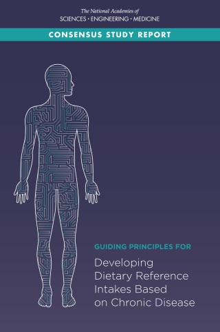 Imagen de portada: Guiding Principles for Developing Dietary Reference Intakes Based on Chronic Disease 9780309462563