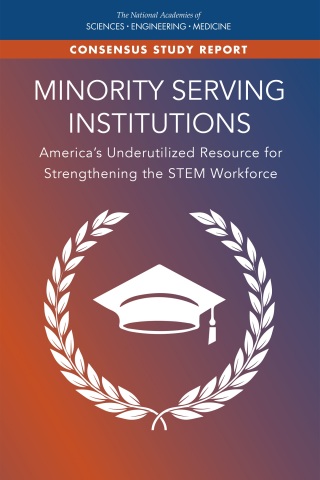 Imagen de portada: Minority Serving Institutions 9780309484411