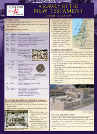 Cover image: A Survey of the New Testament Laminated Sheet 9780310273141