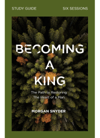 Cover image: Becoming a King Study Guide 9780310115243