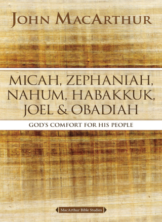 Cover image: Micah, Zephaniah, Nahum, Habakkuk, Joel, and Obadiah 9780310123880