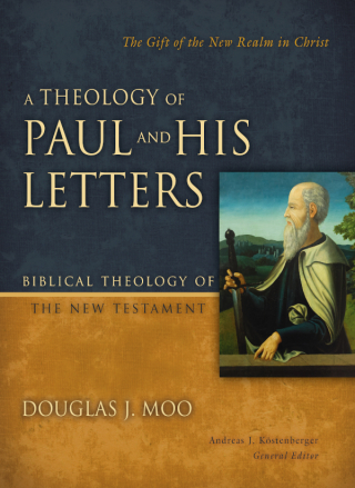Cover image: A Theology of Paul and His Letters 9780310270904