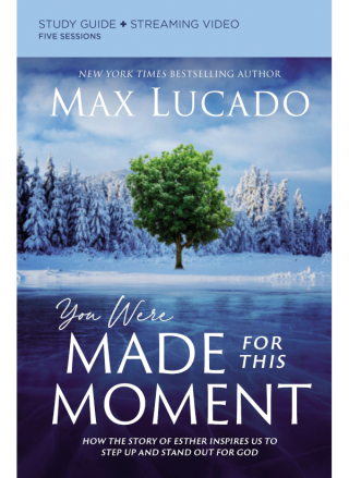 Cover image: You Were Made for This Moment Bible Study Guide plus Streaming Video 9780310136255