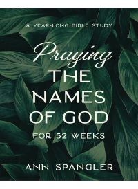 Cover image: Praying the Names of God for 52 Weeks, Expanded Edition 9780310145158