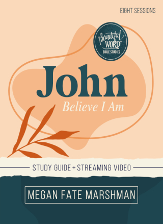 Cover image: John Bible Study Guide plus Streaming Video 9780310152651