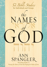 Cover image: The Names of God 9780310096672
