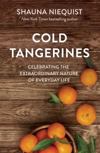 Cover image: Cold Tangerines 9780310360827