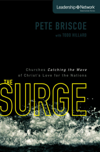 Cover image: The Surge 9780310323167