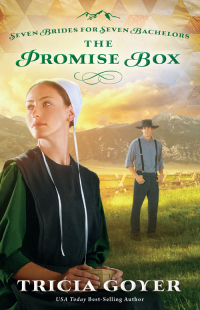 Cover image: The Promise Box 9780310335122