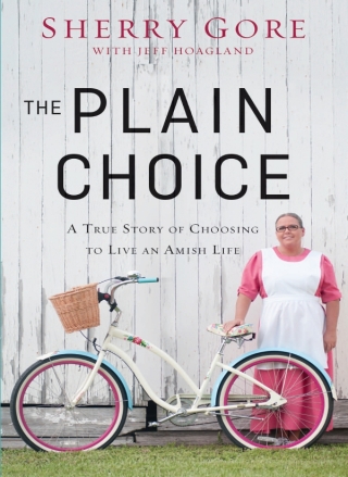 Imagen de portada: The Plain Choice 9780310335580