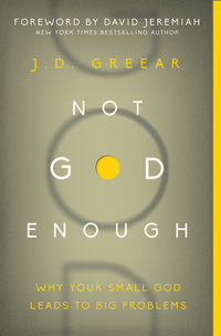 Cover image: Not God Enough 9780310337775