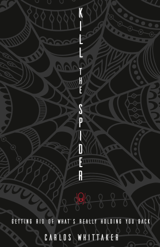 Cover image: Kill the Spider 9780310338000