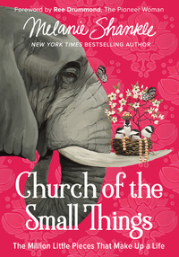 Cover image: Church of the Small Things 9780310348870
