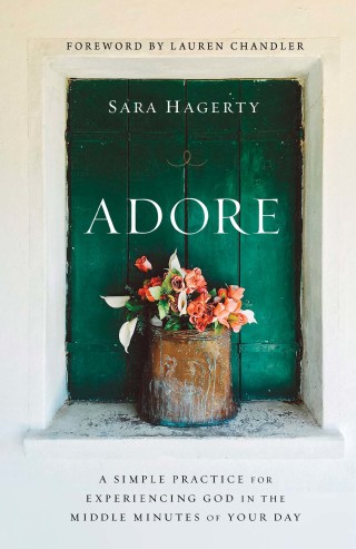 Cover image: Adore 9780310370024