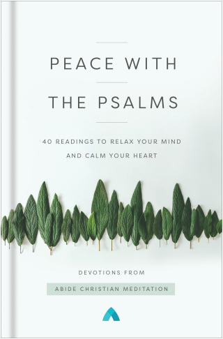 Cover image: Peace with the Psalms 9780310363347