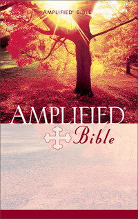 Cover image: Amplified Bible 9780310951681