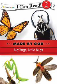 Cover image: Big Bugs, Little Bugs 9780310721864