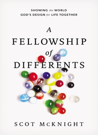 Cover image: A Fellowship of Differents 9780310531470