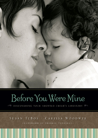 Cover image: Before You Were Mine 9780310331032