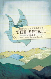 Cover image: NIV, Encountering the Spirit Bible 9780310421276