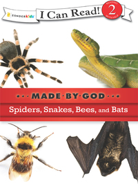 Cover image: Spiders, Snakes, Bees, and Bats 9780310720072
