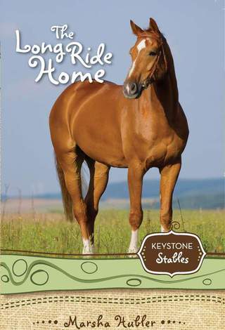 Cover image: The Long Ride Home 9780310716921