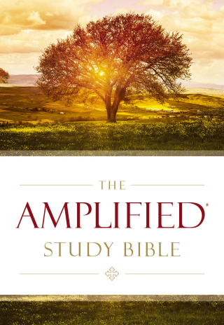 Cover image: The Amplified Study Bible 9780310440307