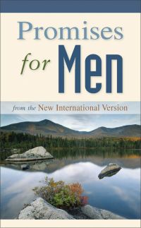 Cover image: NIV, Promises for Men 9780310442349