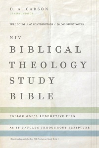 Cover image: NIV, Biblical Theology Study Bible 9780310450405
