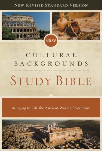 Cover image: NRSV, Cultural Backgrounds Study Bible 9780310452683